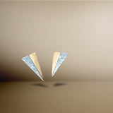 Dual Tone Triangle earrings